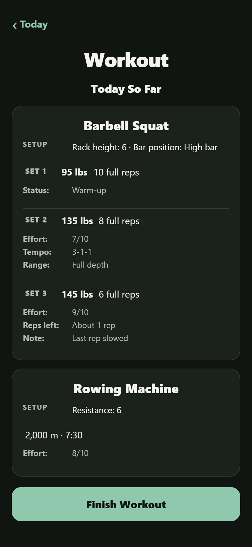 SetNoted workout on an iPhone showing three detailed fictional barbell squat sets and a rowing result